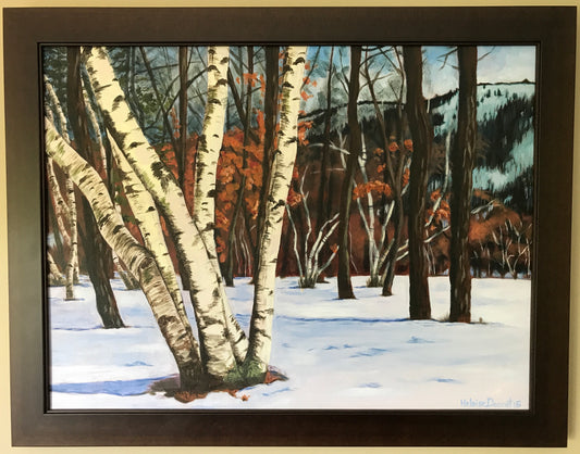 Snow birches