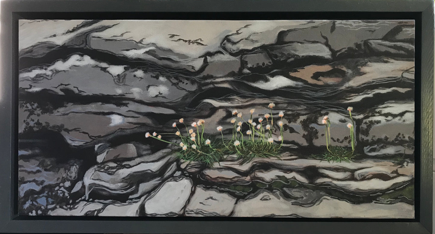 Fossil beach