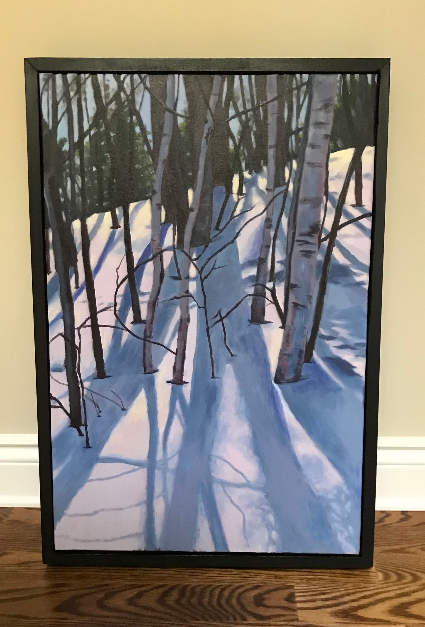 Pakenham Snow Shadows