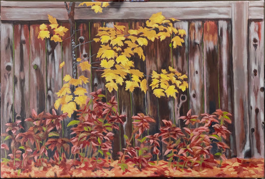 Fall backyard