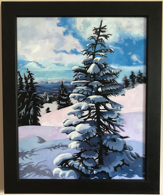 Snowy Slopes