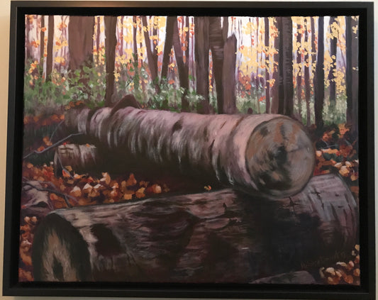 Logs at Lime Kiln