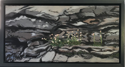 Fossil beach