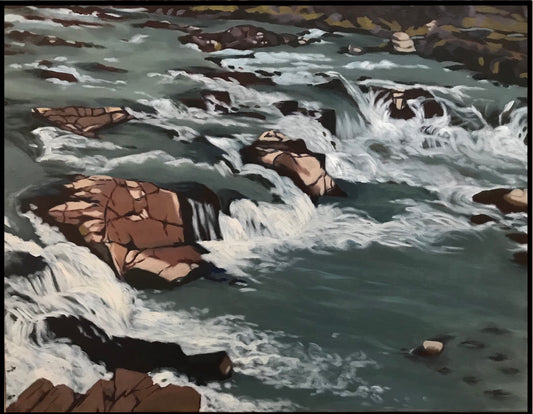 Iceland Rapids