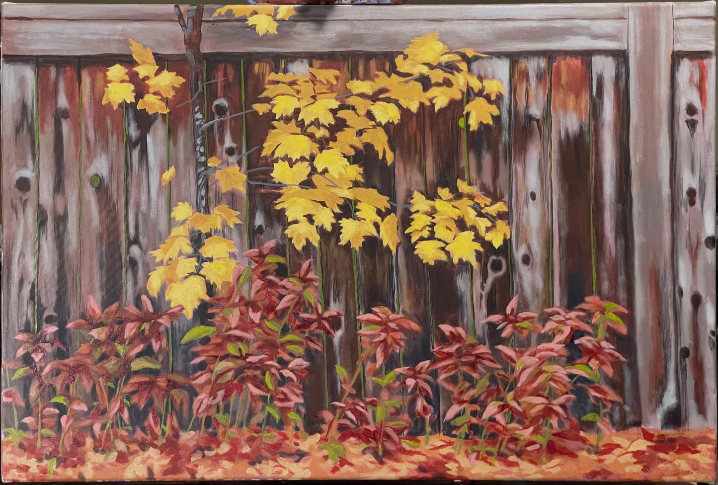 Fall backyard